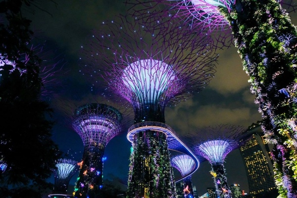 6 лучших бесплатных развлечений в Сингапуре в 2024 году